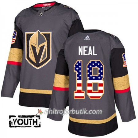 Barn Ishockey Vegas Golden Knights Tröja James Neal 18 Adidas 2017-2018 Grau USA Flag Fashion Authentic